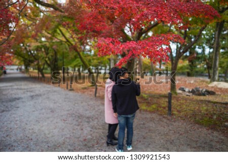 Selective focus of autumn leaves with visitor at Nanzenji Temple