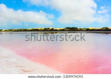 Beautiful pink algae in lake Hillier in Western Australia, impressive landscape. Famous destination and australian landmark. Royalty-Free Stock Photo #1309974193
