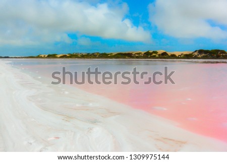 Beautiful pink lake Hillier in Western Australia, salt water and natural colorful landscape against cloudy blue sky and the reflection on soft smooth water. Royalty-Free Stock Photo #1309975144