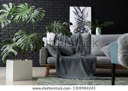 Green tropical plant in interior of room