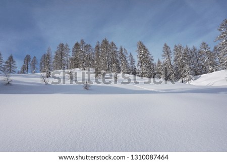 Winter landscape with snow covered trees. Frosty day, calm wintry scene. Location Flachau, Salzburg Country, Austria Europe. Ski resort. Great picture of wild area. Explore the beauty of earth. 