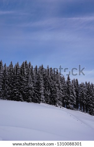 Winter landscape with snow covered trees. Frosty day, calm wintry scene. Location Flachau, Salzburg Country, Austria Europe. Ski resort. Tourism concept. Explore the beauty of earth. 