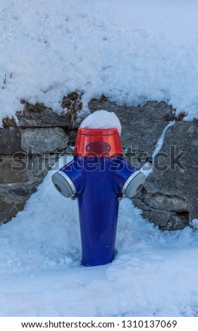 Fire Hydrant in the snow.