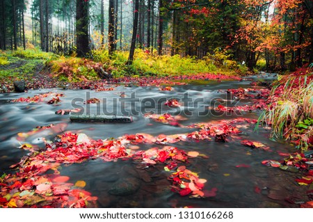 The flowing river during autumn in magical colors.