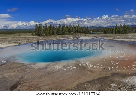 The Opal Pool in Yellowstone National Park with blue sky and evergreen trees on the horizon.