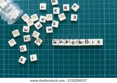 Appendix word made of square letter word on green background.