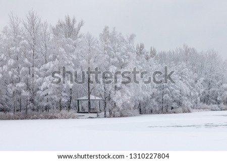 Wiinter beautiful landscape with trees covered with hoarfrost and snow. 