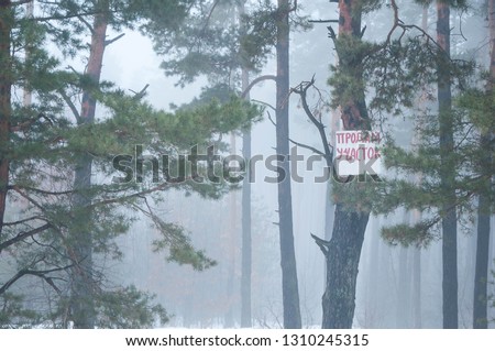 A sign with an advertisement for sale on a tree in a misty pine forest, a bulletin board, a plot or plot sale. Translation: "Selling land".
