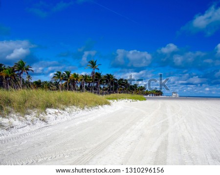 Beautiful panoramic view of the beach entrance in key Biscayne in Miami Florida with sand and palm trees on a sunny day under a clear blue sky
