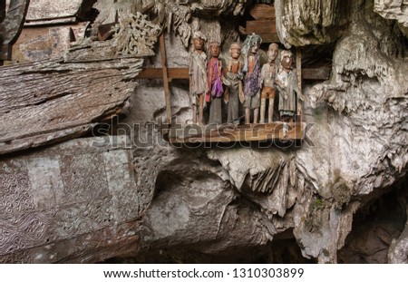 Wooden figures and sarcophagi in a traditional burial in a cave of the Tana Toraja culture near Lemo. Sulawesi