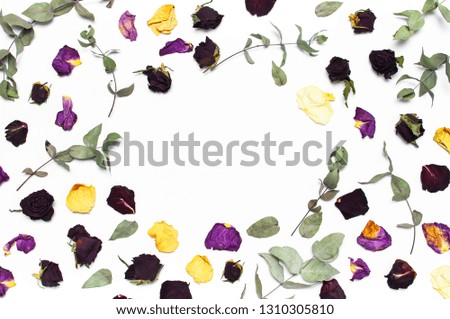 Dried roses and eucalyptus branches on white background. Flat lay, top view, copy space. Flowers composition. Floral pattern. Dried flowers background.