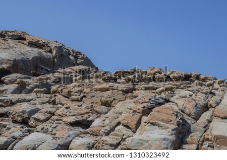 Strange natural formations on the rocks