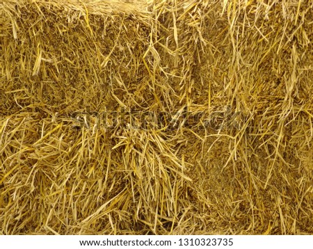 dry brown grass hay stack wall background.