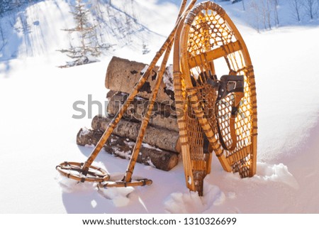 Wooden snow shoes and snow poles leaning against a stack of cut firewood in the snow.