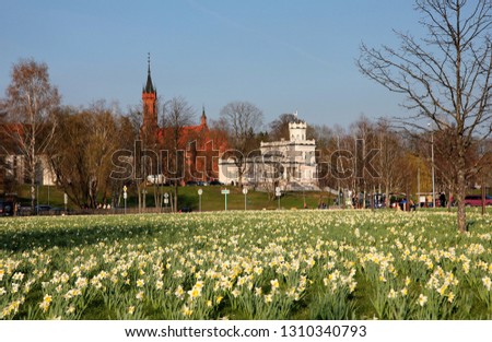 The popular daffodil park in Druskininkai Thousands of flowers are blooming. at the same time. The landmarks of the town are at the background.