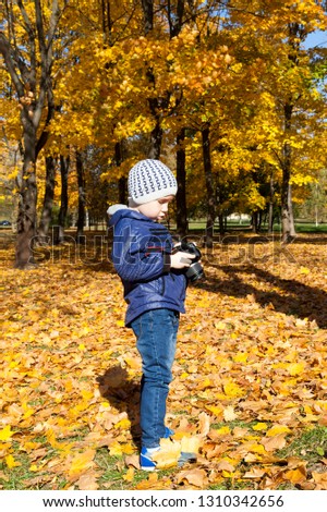 A boy walking in the park with a camera and photographing autumn nature looking at his photographs sunny weather