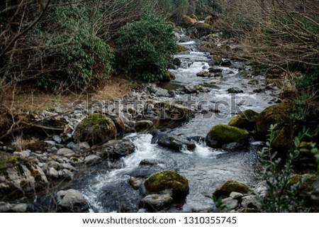 Beautiful landscape of the wild mountain river in the forest on the rocks in the Batumi, Adjara, Georgia