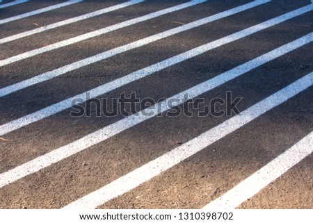 White stripes on grey asphalt, concrete marking in national park.