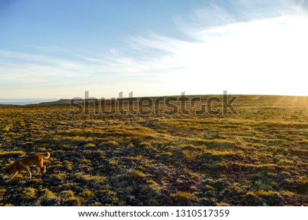 plowed field and sky, beautiful photo digital picture