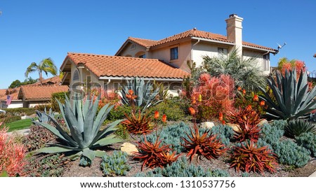 Drought tolerant landscaping in Southern California                               Royalty-Free Stock Photo #1310537756