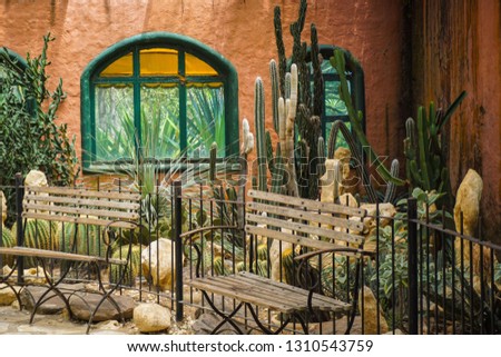 cactus park bench with green plant on the corner - photo bogor indonesia Royalty-Free Stock Photo #1310543759