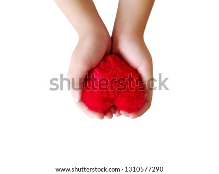 Fur puffy red heart in hands isolated on​ white​ background, concept of​ love, valentine day, friendship, giving