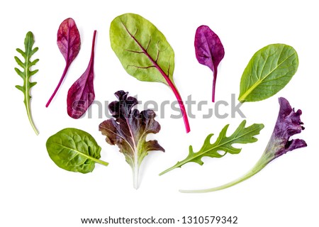Salad leaves Collection. Isolated Mixed Salad leaves with Spinach, Chard, lettuce, rucola on white background. Flat lay Royalty-Free Stock Photo #1310579342