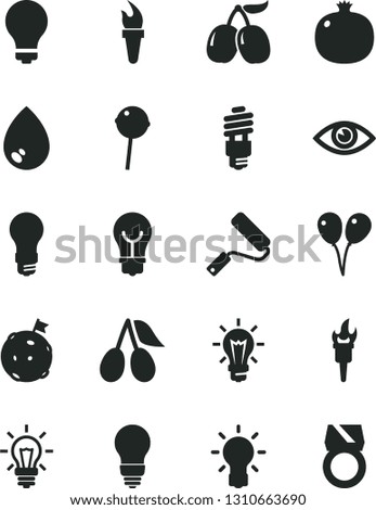 Solid Black Vector Icon Set - matte light bulb vector, colored air balloons, new roller, eye, drop, Chupa Chups, pomegranate, cornels, tasty, energy saving, flame torch, flag on moon, gold ring