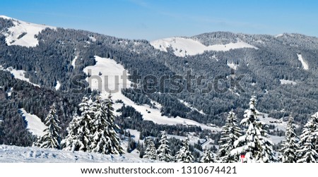 A snowy forest on the mountain under blue sky
