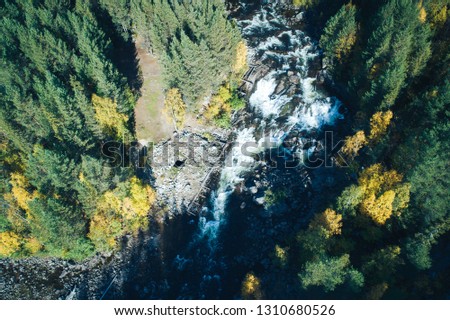 Aerial Landscape of the Autumn Nature. Forest River Waterfall and Trees with Yellow Autumn Foliage Mixed with Green Coniferous Trees