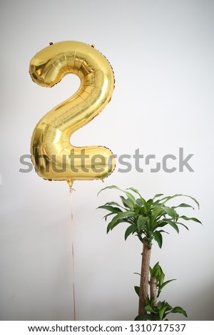 Gold air balloon number two and a home plant, white home interiors.