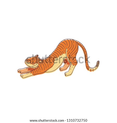 Adorable orange tiger in stretching pose. Large wild cat with striped coat. Predatory animal. Hand drawn vector design