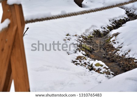 brook bed bending in the snow