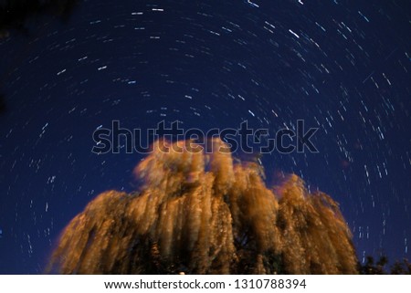 Stars and startrails in the night 