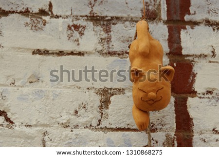 a cat doll seen on the wall of an alley.