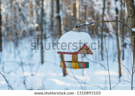 Close-up photo of empty wooden birdhouse covered with a large layer of snow, house for birds suspended from a tree, rescue of migratory birds, bird feeder/ nesting box, shelter for birds, winter park.
