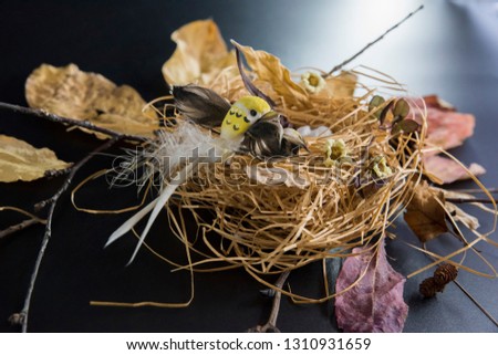 The bird is sitting on the nest. The concept of spring. Composition show sence of life. Frame made of nest, bird and dry leaves with branches. Waiting for posterity. The bird must grow up her chicks.
