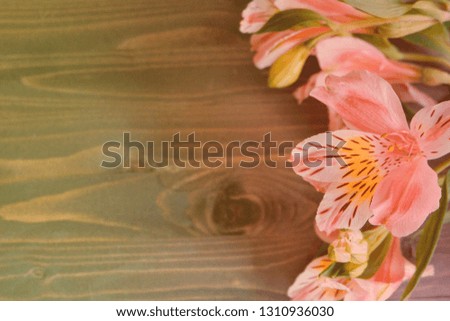 Spring wooden background layout on a brown wooden background with fresh flowers and a place to record signatures inscriptions