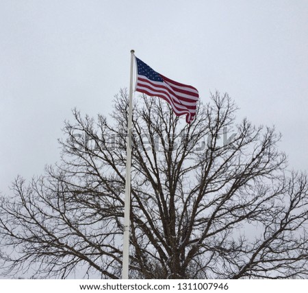 American flag in the wind
