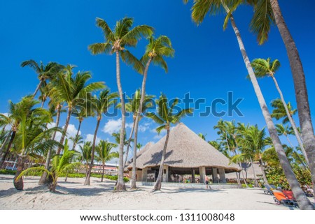 Amazing DOMINICAN REPUBLIC, Bavaro panorama. Beautiful beach scene with palm trees and perfect blue sky. Relaxing and exotic tropical landscape view. Luxury summer vacation and holiday banner concept