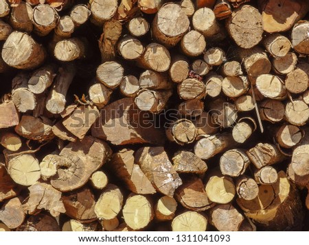 Rural dry wood branch firewood stack prepare for burning on winter season.