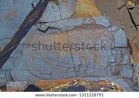Picture of buffalo on rocks at Tamgaly National Petroglyph Park (Kazakhstan). Bronze age. 