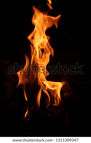 Portrait of amazing fire