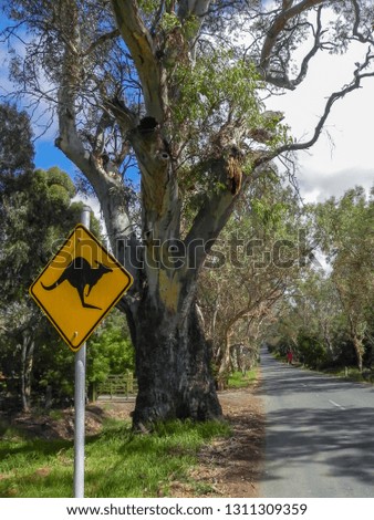 Yellow Kangaroo Crossing Sign on The Roadside