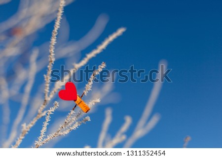 one red wooden decorative heart handmade on a branch in the frost, winter Sunny day.For Valentine's day, wedding, love message, mood, design.copy space,background