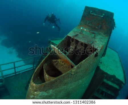 Scuba Diving Malta - Wreck Caverns Marine Life