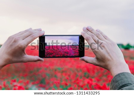 hand of a young woman taking a picture of a field with poppy flowers. Spring concept
