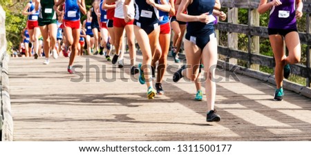 Many runners in a high school girls cross country race are running over a wood bridge at Sunken Meadow State Park in New York. Royalty-Free Stock Photo #1311500177