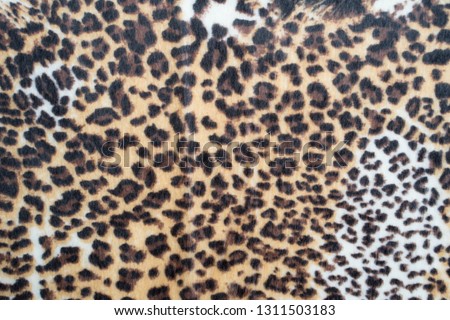 leopard pattern texture background