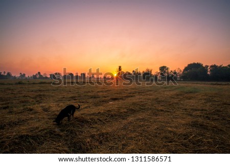 Natural background during the rising sun from the horizon, mountain, wallpaper, twilight light of the sky, bright colors along the rice fields, beauty during travel